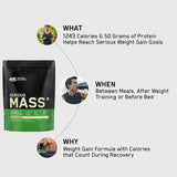SERIOUS MASS